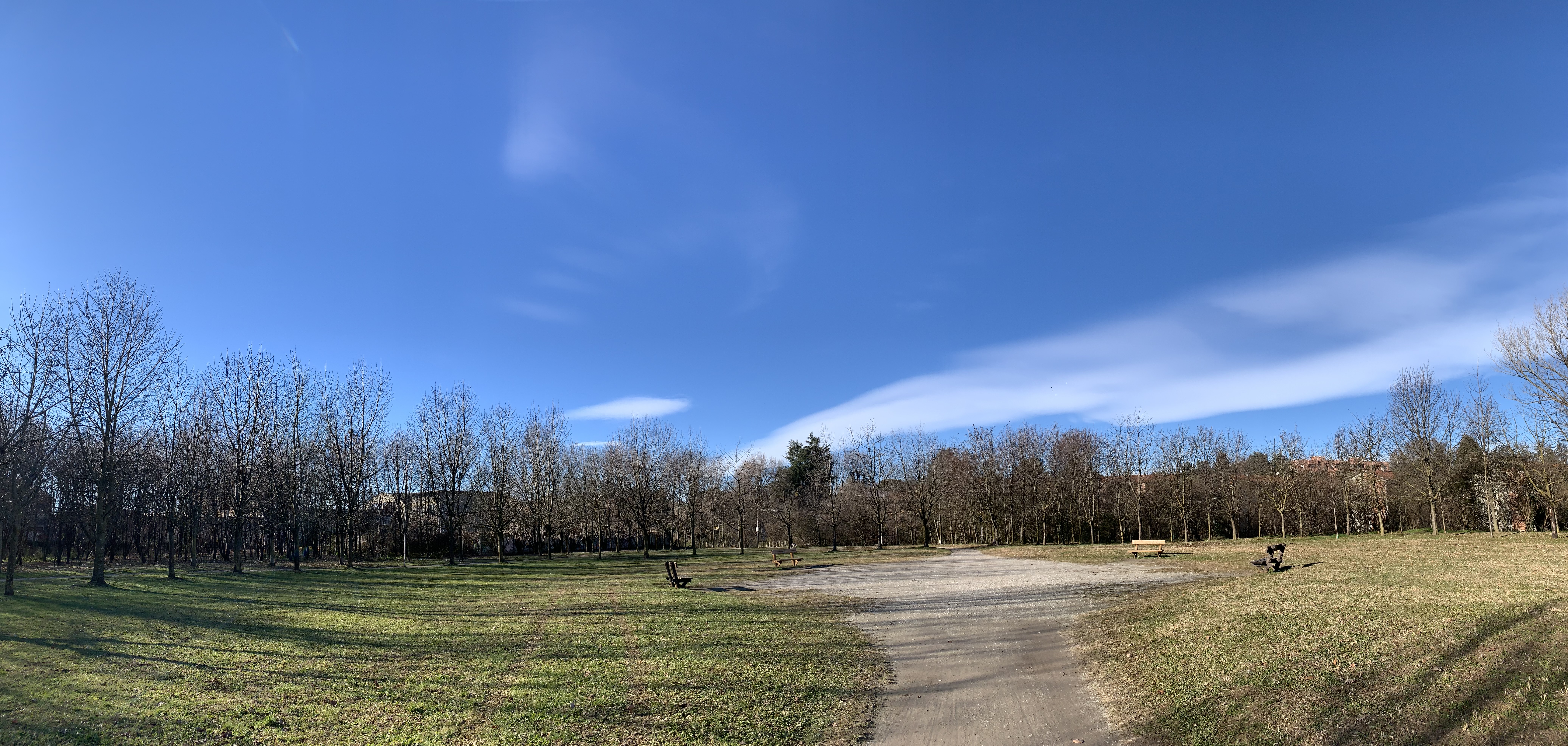 The park near my house